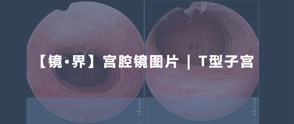 微信图片_20191217154922.jpg