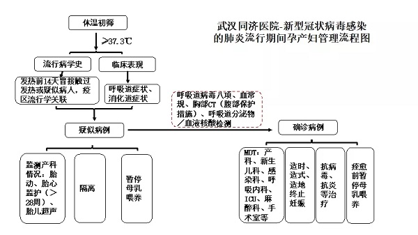 冠狀病毒是否通過胎盤垂直傳播或者出生後通過母乳餵養傳播仍不清楚