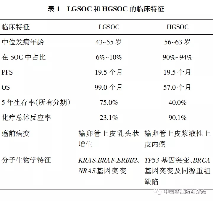 低级别浆液性卵巢癌的专家共识 年版