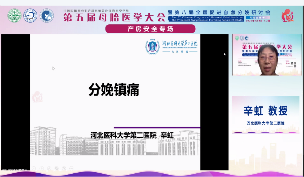 13xin.png