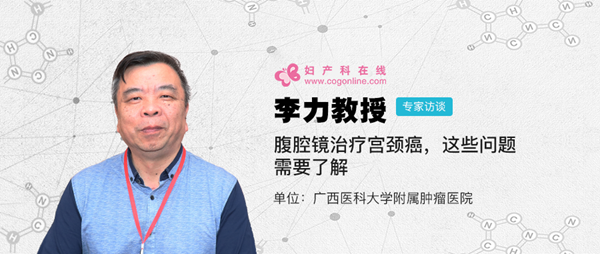 李力
