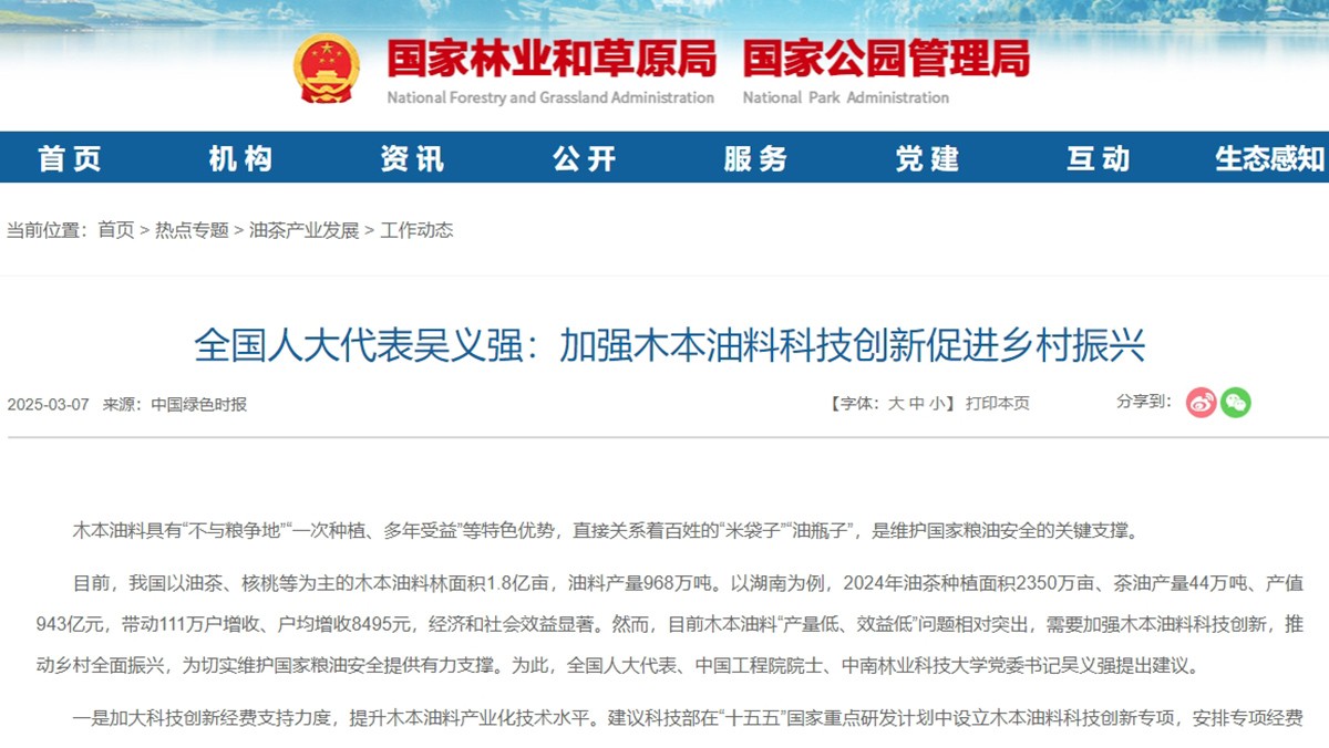 加强木本油料科技创新.jpg