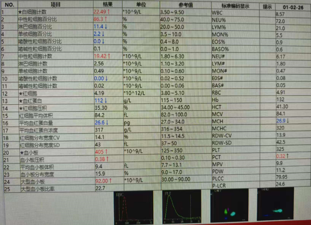 血常规报告