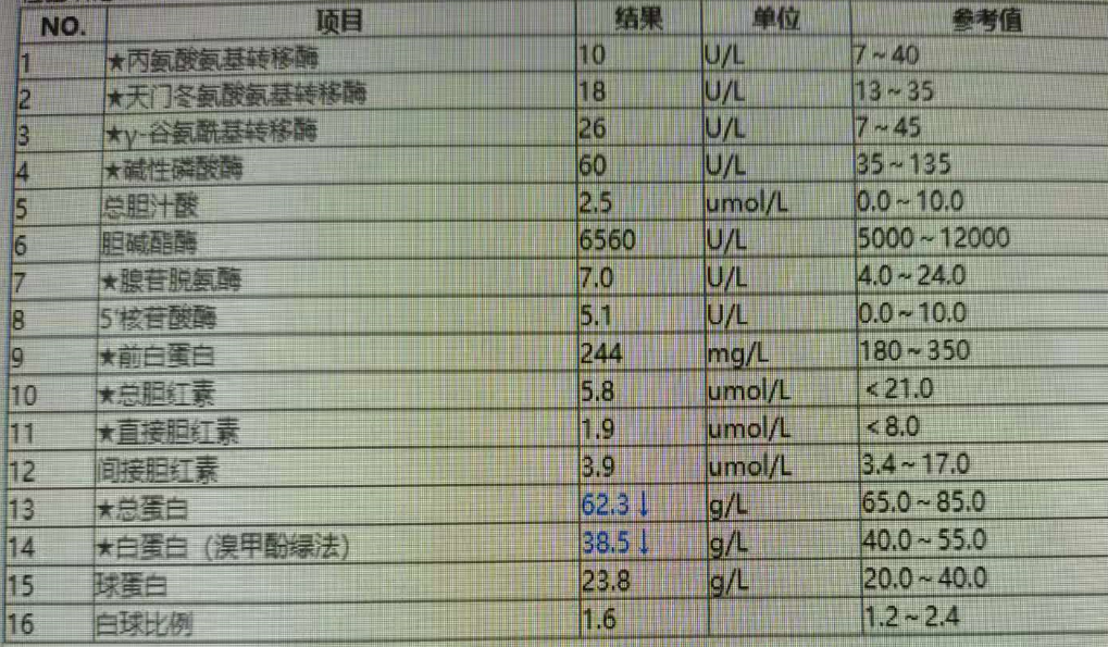 血生化指标