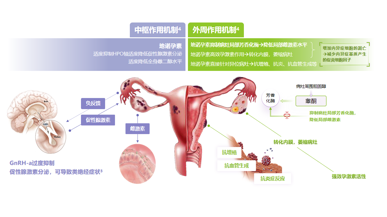 微信图片_2026-07-15_172500_042.png